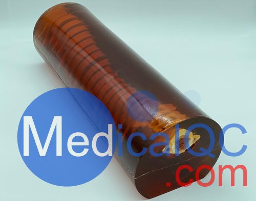 SE-A01成人脊柱模型,SE-A01成人脊柱模體，X射線，CT、MRI兼容