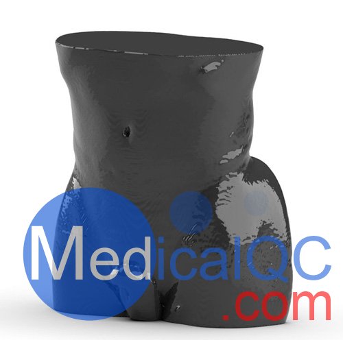 WEK-5501男性腹部模體，WEK-5501男性骨盤模體