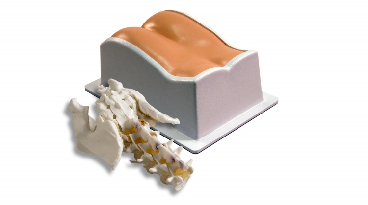 CIRS 034腰椎模體，CIRS 034穿刺訓(xùn)練模體