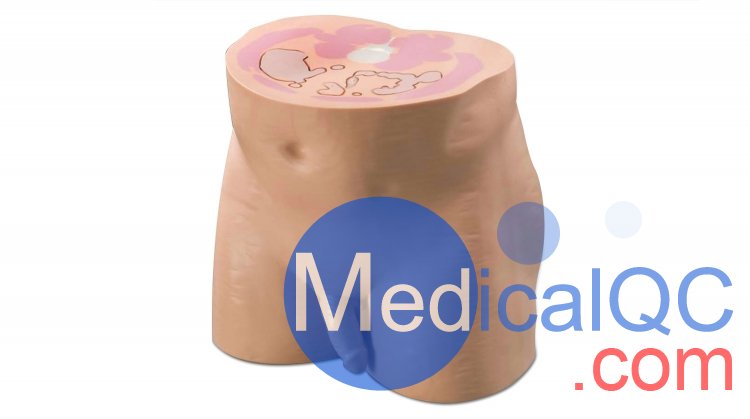 CIRS 801-P男性骨盤模體，CIRS 801-P模體