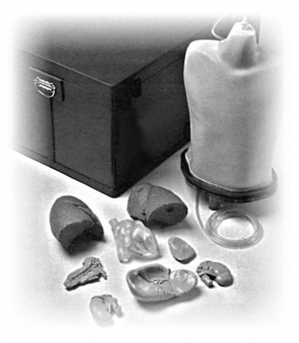 CIRS 602三維軀干模體，CIRS 602軀干模體