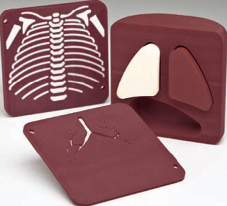 Gammex 610新生兒胸部模體，Gammex 610胸部模體