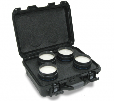 CIRS 039肝纖維化模體，CIRS 039模體