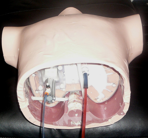 美國(guó)RSD RS-1500動(dòng)態(tài)呼吸模體，RS-1500動(dòng)態(tài)呼吸模體