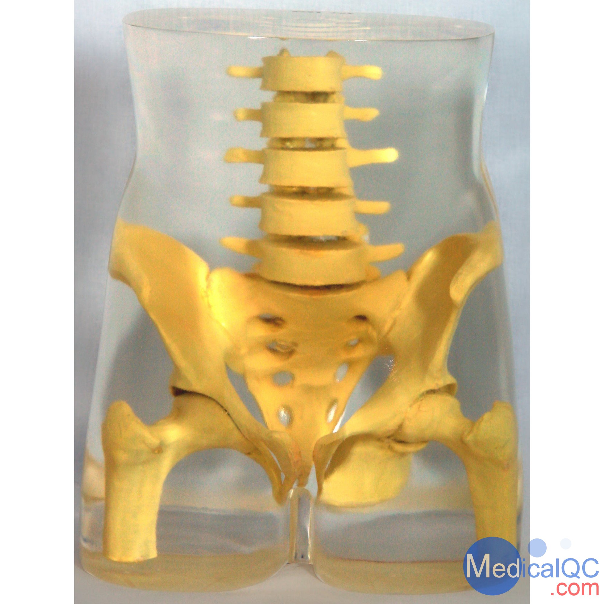 RSD RS-113骨盤(pán)模體，RS-113T脊椎模體