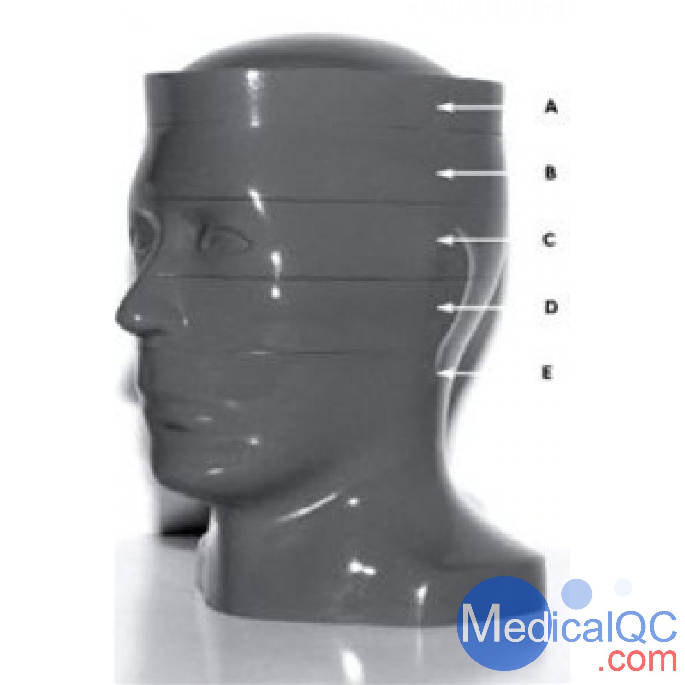 RSD RS-250頭部CT模體，RS-250頭部彷真CT模體