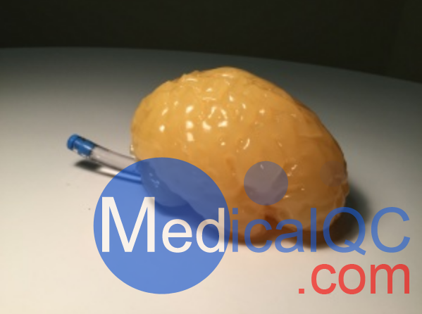 Truephantom BN-A01標(biāo)準(zhǔn)成人腦模體，適用于CT、MRI、超聲