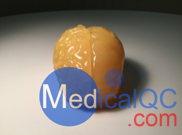 Truephantom BN-A01標(biāo)準(zhǔn)成人腦模體，適用于CT、MRI、超聲