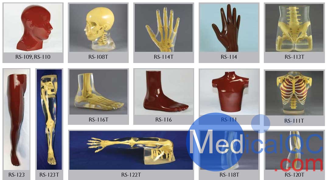 美國RSD人體部分模體，RSD RS-114T手臂模體,RSD RS-123T腿部模體