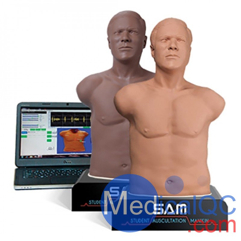 SAM 3G學(xué)生聽診人體模型，SAM 3G聽診模型