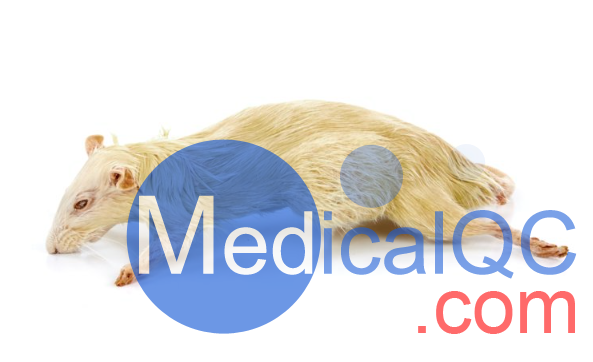 PlastiCreatures小動(dòng)物塑化標(biāo)本，PlastiCreatures模體