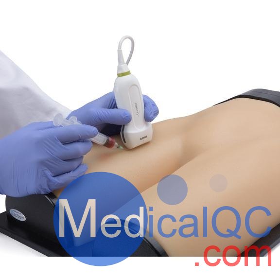 BPF1500-HP血管通路和區(qū)域麻醉超聲訓(xùn)練模體，BPF1500-HP區(qū)域麻醉超聲模體