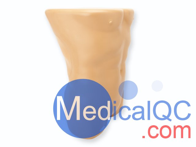 BPRB-2011腎活檢超聲訓練模型,BPRB-2011腎活檢模體