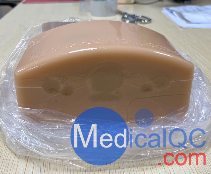 BPT195甲狀腺穿刺模型，BPT195超聲引導(dǎo)穿刺模體