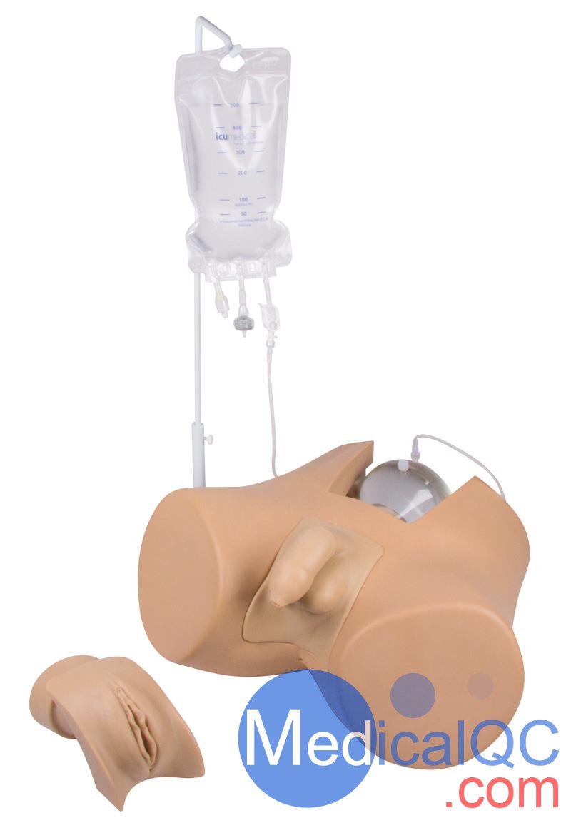 Henri Dunant膀胱插管模擬器，Nightingale導(dǎo)尿訓(xùn)練模體