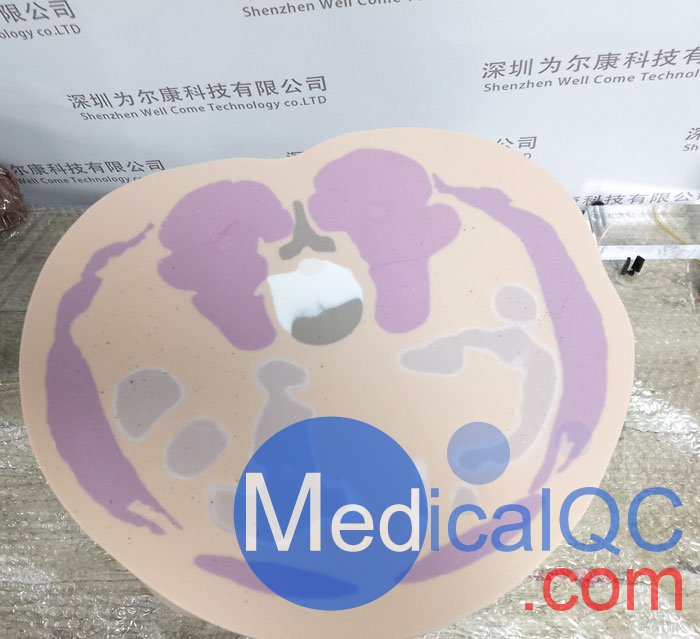 CIRS 801-P男性骨盤模體，CIRS 801-P模體實物拍攝圖