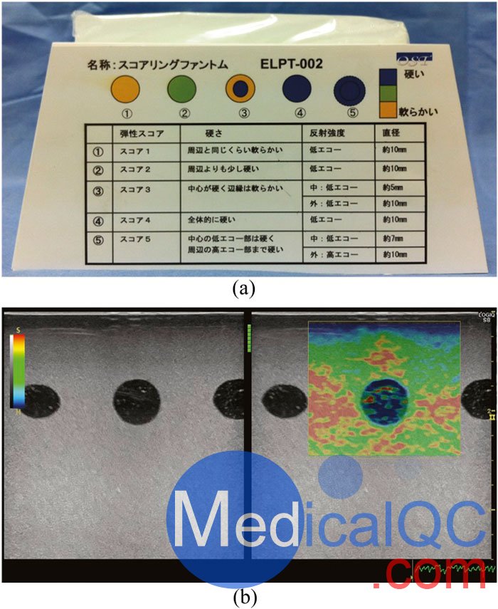 ELPT-002彈性成像模型，ELPT-002彈性成像模體