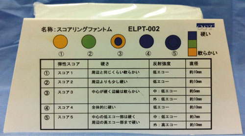 ELPT-002彈性成像模型，ELPT-002彈性成像模體