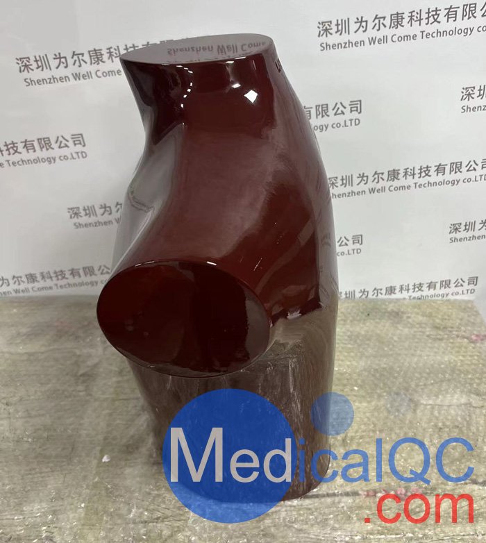 RSD RS-310胸/肺模體，RSD RS-310肺部模體實(shí)拍圖