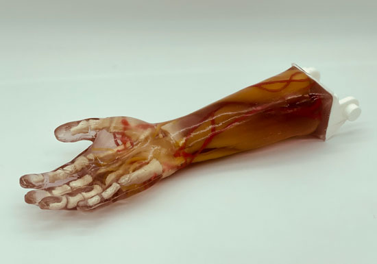 AR-A03成人手臂模型，AR-A03成人手臂模體，可超聲，CT成像手臂模型