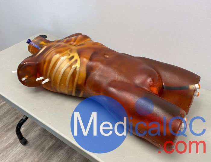 TO-A02成人軀干模體，TO-A02動(dòng)態(tài)心臟運(yùn)動(dòng)軀干模體