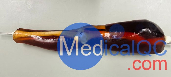 KE-A02成人膝關(guān)節(jié)模體，KE-A02腿部模型，KE-A02腿模體