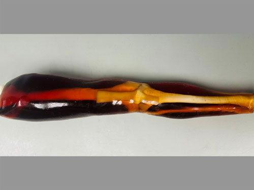 KE-A02成人膝關(guān)節(jié)模體，KE-A02腿部模型，KE-A02腿模體