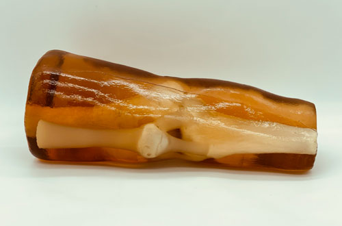 KE-A03成人膝關(guān)節(jié)，KE-A03膝關(guān)節(jié)模體,KE-A03膝關(guān)節(jié)模型