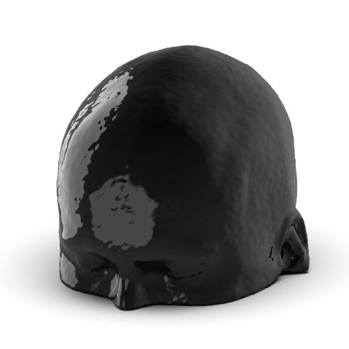 WEK-5005腦血管造影頭模，WEK-5005頭模， CTA AVM頭模