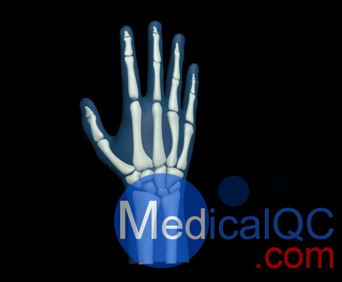 HN-P01兒童手掌模體，HN-P01手掌模型