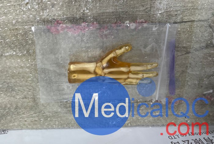 HN-P01兒童手掌模體，HN-P01手掌模型產(chǎn)品實(shí)拍圖