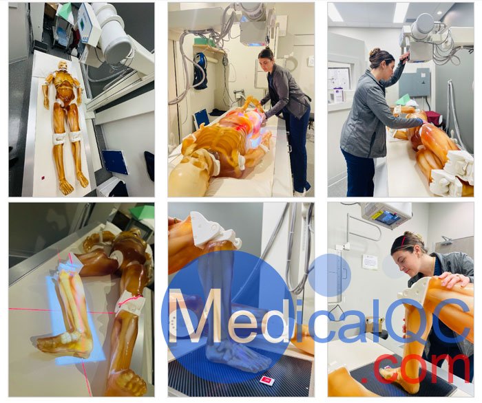 FB-A02成人全身模體,FB-A02全身CT模型