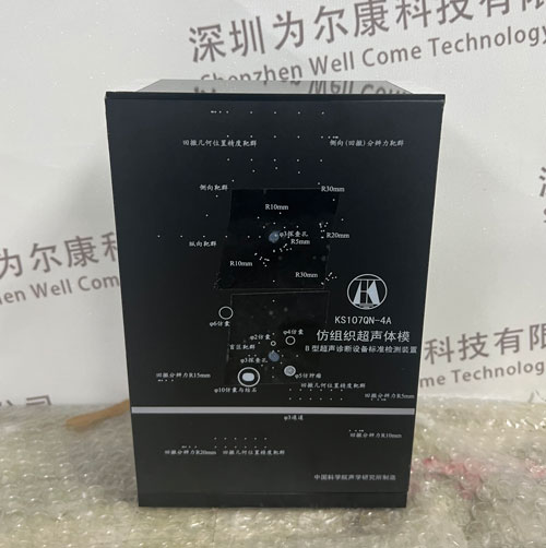 KS107QN-4A腔內(nèi)掃查超聲體模，KS107QN-4A介入式掃查體模