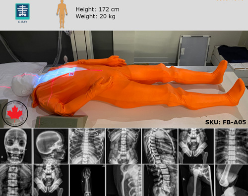 FB-A05 X射線定位和成像模型，F(xiàn)B-A05全身模體