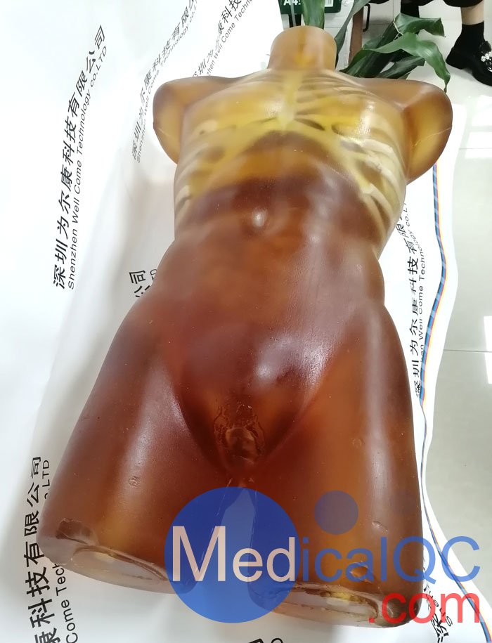 US-A02成人軀干模體，US-A02可用于超聲，CT,X射線成像