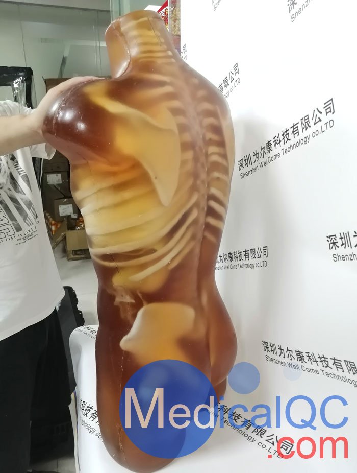 US-A02成人軀干模體，US-A02可用于超聲，CT,X射線成像
