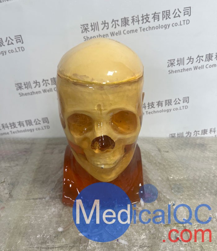 HD-C03成人頭模，HD-C03血管造影頭模，HD-C03頭部模體實(shí)拍圖