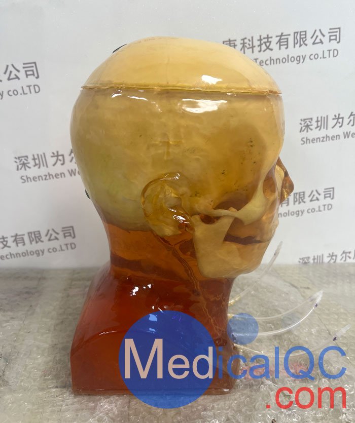 HD-C03成人頭模，HD-C03血管造影頭模，HD-C03頭部模體實(shí)拍圖