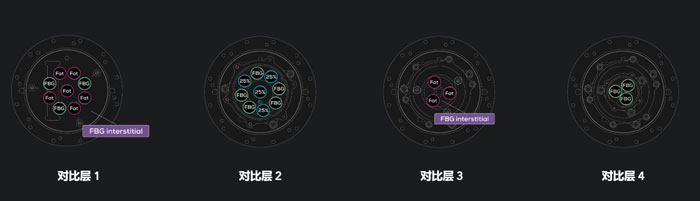 CaliberMRI 206單壁乳腺體模,CaliberMRI 206乳腺M(fèi)RI定量體模