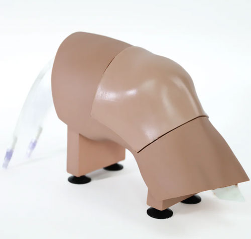 ARC-20-L關(guān)節(jié)穿刺訓(xùn)練模型，ARC-20-L膝關(guān)節(jié)穿刺訓(xùn)練模型