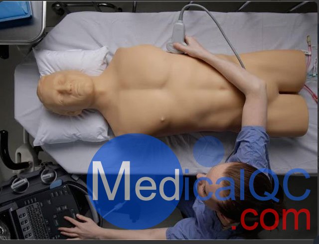 BPFAST1800創(chuàng)傷超聲重點評估訓(xùn)練模型,BPFAST1800訓(xùn)練模型