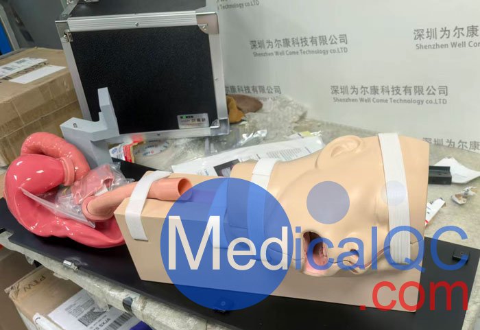 LM-103胃腸鏡模擬器，LM-103胃腸模體，EGD模擬器實(shí)物拍攝圖