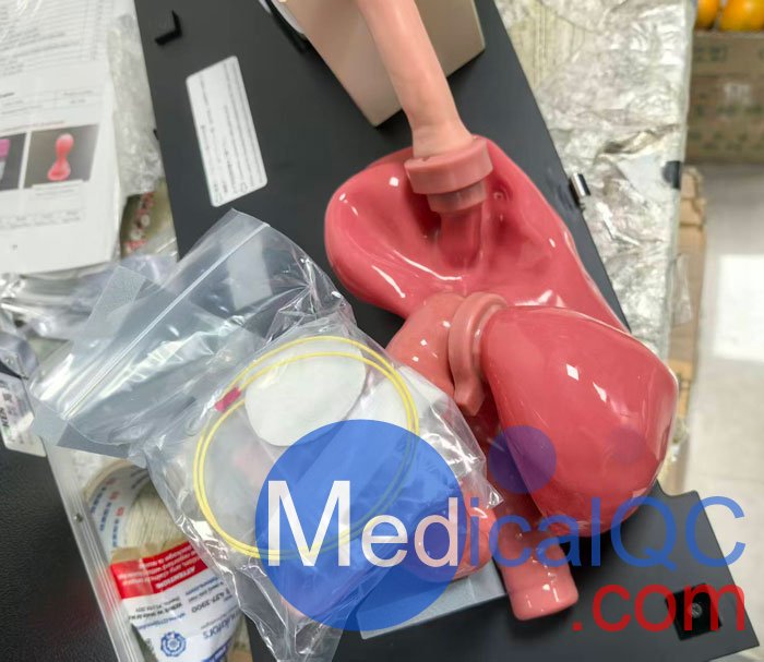 LM-103胃腸鏡模擬器，LM-103胃腸模體，EGD模擬器實(shí)物拍攝圖