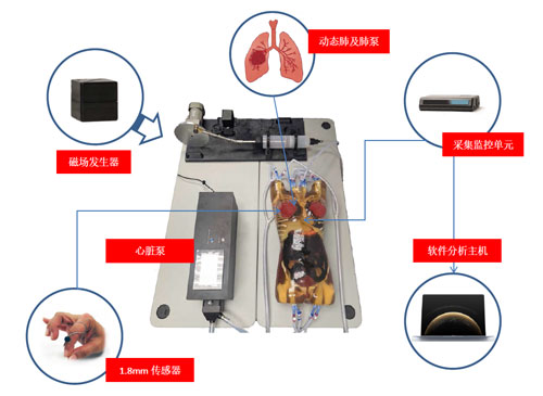 WEK-RLFMA02活動(dòng)腫瘤靶模擬及定位系統(tǒng)，WEK-RLFMA02呼吸運(yùn)動(dòng)模體