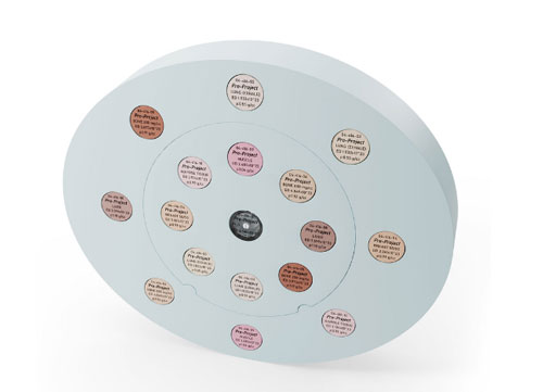 WEK-RTED電子密度模體，電子密度模體WEK-RTED