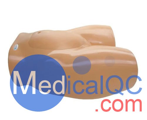 BP1610羊膜穿刺術(shù)訓(xùn)練模型,BP1610胎兒超聲培訓(xùn)模型